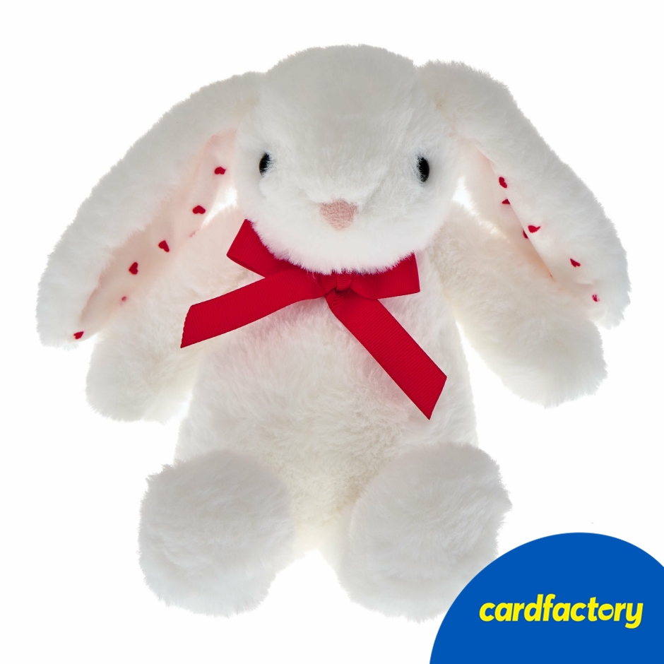 Image of Small White Bunny Soft Toy