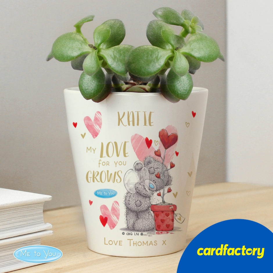 Image of Personalised Me To You Love Grows Plant Pot